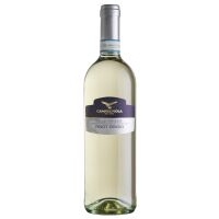 Pinot Grigio delle Venezie DOC