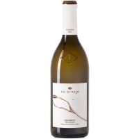 Sauvignon Blanc TreVenezie IGT